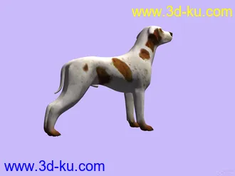 3D打印模型3D 狗的图片