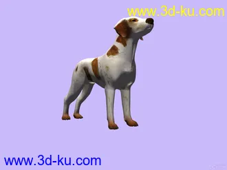 3D打印模型3D 狗的图片