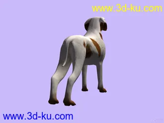 3D打印模型3D 狗的图片