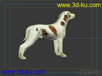 3D打印模型3D 狗的图片