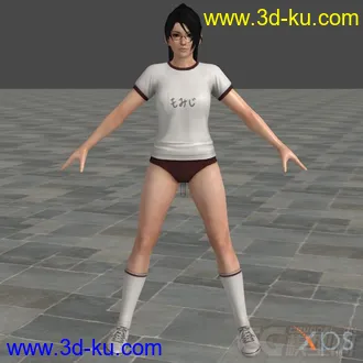 3D打印模型DoA5 Ultimate -GYM- Phase-4的图片