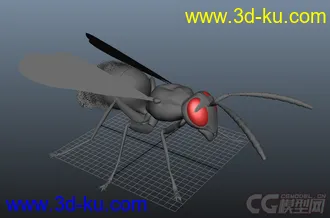 3D打印模型蜜蜂送给大家的图片