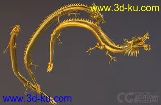 龙 模型的图片