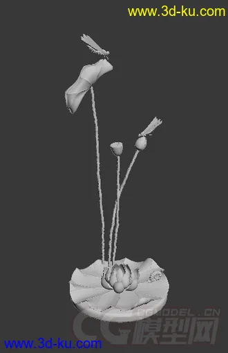 荷花 装饰模型的图片