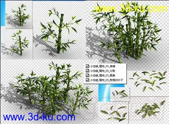 收集的高精度竹子模型 Q版 写实的图片