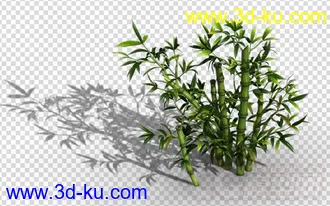 收集的高精度竹子模型 Q版 写实的图片