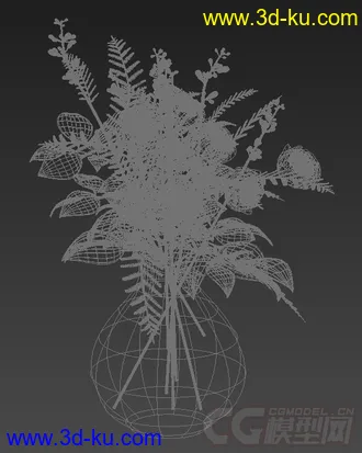 月季花？模型的图片