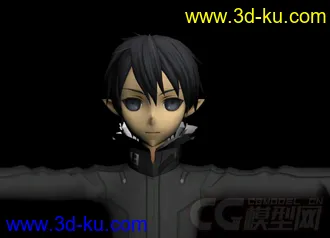 3D打印模型PS3刀剑神域的图片