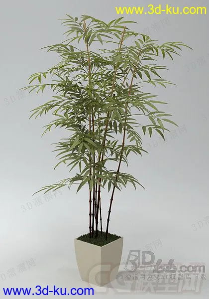 花瓶，植物，花草，花盆，盆栽，装饰品，小摆件，小品模型的图片1