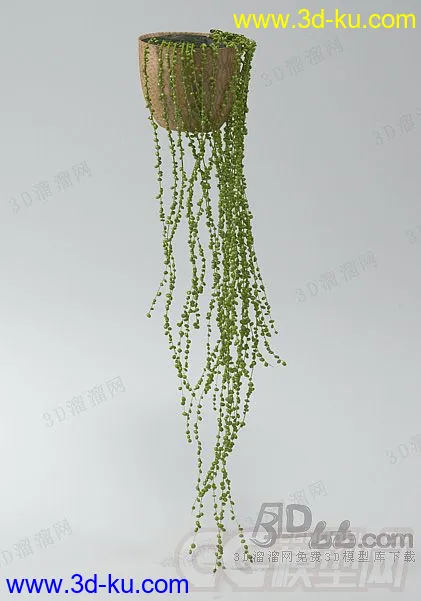 植物，花草，花盆，盆栽，装饰品，小摆件，小品模型的图片1
