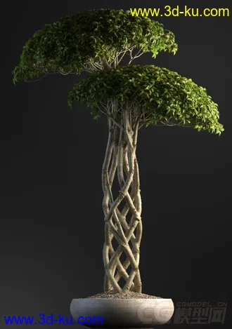 3D打印模型植物，花草，花盆，盆栽，装饰品，小摆件，小品的图片