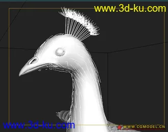 3D打印模型liujuan-3dsmax8孔雀的图片