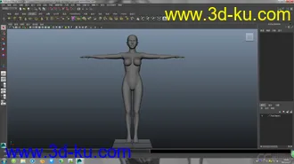 3D打印模型基础人体的图片