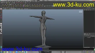 3D打印模型基础人体的图片