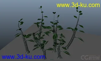 3D打印模型小树的图片