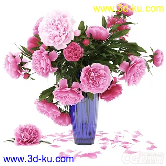 芍药牡丹花瓣花瓶模型的图片