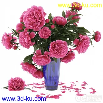 芍药牡丹花瓣花瓶模型的图片