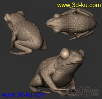 3D打印模型青蛙的图片