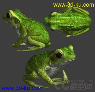 3D打印模型青蛙的图片