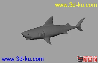 3D打印模型鲨鱼maya版的图片