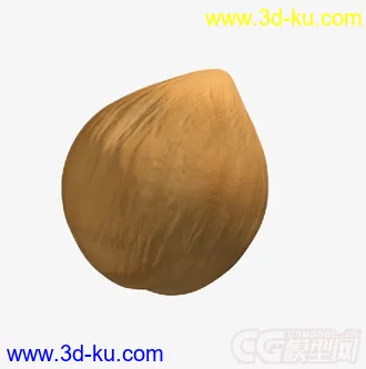 3D打印模型榛子 榛实的图片