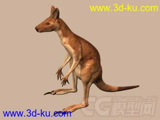 3D打印模型袋鼠的图片