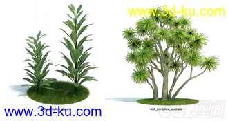 发几个植物模型的图片