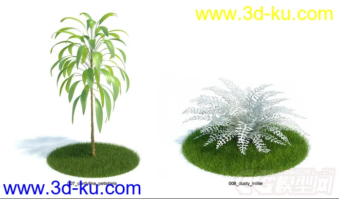 发几个植物模型的图片3