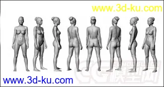 超精细的女人模型  OBJ通用格式的图片