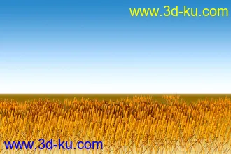 片头包装用的麦子模型的图片