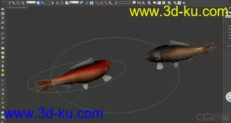 3D打印模型游动的鱼   有动画的图片