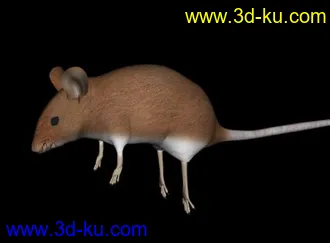 3D打印模型老鼠的图片