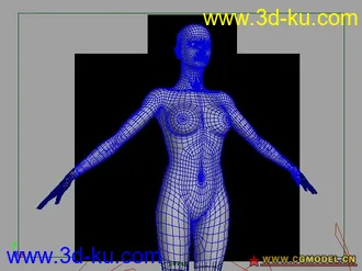 3D打印模型女人体的图片