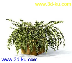 Archmodels模型库----------一些室内装饰植物模型的图片