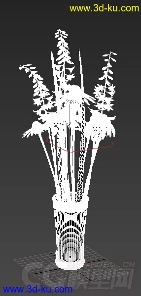 小雏菊 花模型的图片