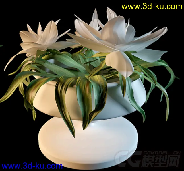 一盆漂亮的白色花 模型的图片2