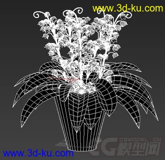 一株白色的花 模型的图片