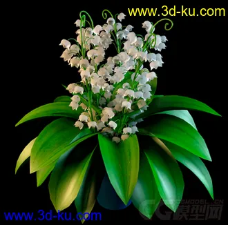一株白色的花 模型的图片