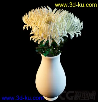 一束菊花 模型的图片