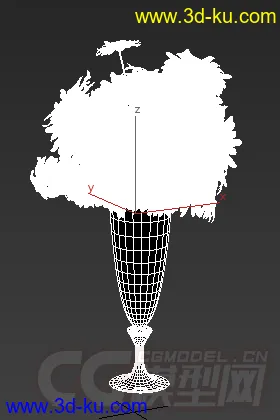 一束小野菊花模型的图片