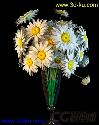 一束小野菊花模型的图片