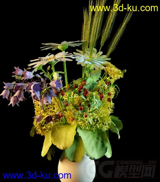 一束小野菊花模型的图片