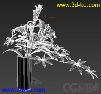 一束小野菊花模型的图片