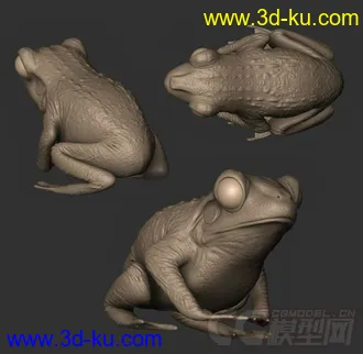 3D打印模型一只青蛙仔~的图片