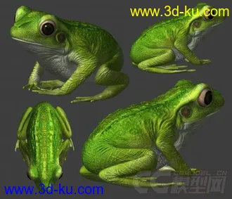 3D打印模型一只青蛙仔~的图片