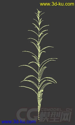 枝繁叶茂的柳兰模型的图片2