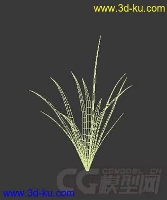 开始长叶的喜马独尾草模型的图片