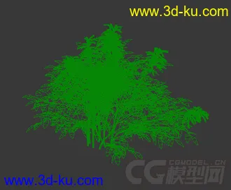 花苞期的假升麻模型的图片
