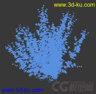 一丛花葵模型的图片