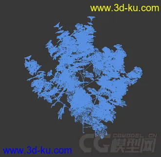 一棵开满花的花葵模型的图片